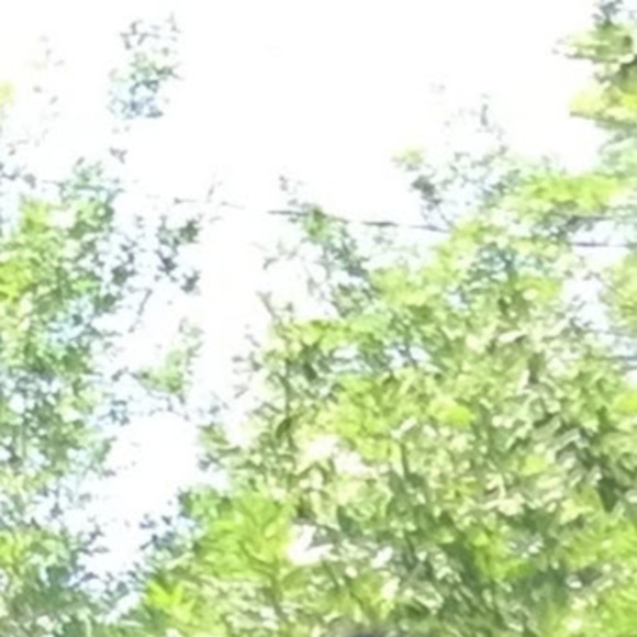 Meet your Posher, Paige - Picture 1 of 1